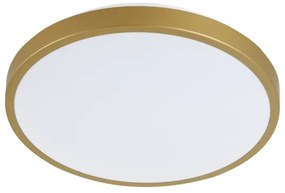 Plafonieră LED KERN LED/24W/230V d. 39 cm