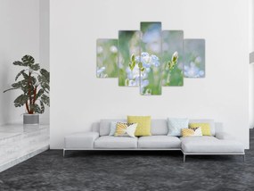 Tablou - Flori delicate (150x105 cm)