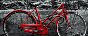 Tablou - Bicicleta istorică (120x50 cm)