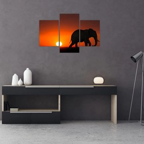 Tablou cu elefant în apus de soare (90x60 cm)