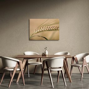 Tablou - Grâu (70x50 cm)