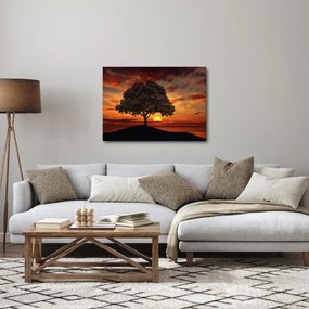 Tablou cu pomi și apus de soare (70x50 cm)