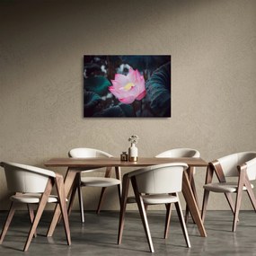 Tablou pe sticlă cu floare roz (70x50 cm)