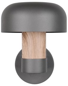 Corp de iluminat pentru exterior, de perete (înălțime 24,5 cm) Fraser – Trio