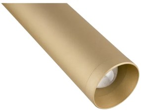 Spot LED de perete RIO LED/4,2W/230V 3000K auriu Argon 8326