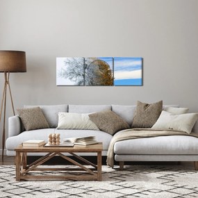 Tablou - Schimbarea anotimpurilor (cu ceas) (90x30 cm)