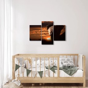 Tablou cu elefant (90x60 cm)