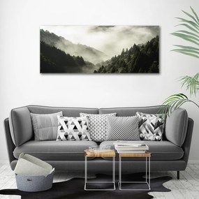 Tablou pe pânză canvas Ceață peste pădure