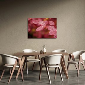 Tablou - Imagine macro a biletului (70x50 cm)