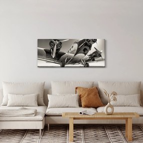 Tablou - Avioane istorice (120x50 cm)