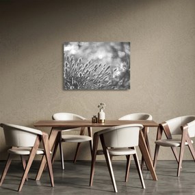 Tablou pe sticlă - Iarbă moale bej N⁰1 (70x50 cm)