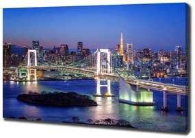 Pictură pe pânză Podul din tokyo
