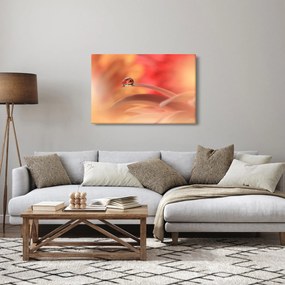 Tablou picăturii de rouă pe floare (90x60 cm)