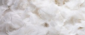 Tablou - Pene albe (120x50 cm)