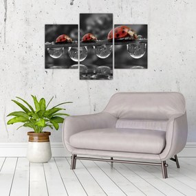 Tablou - Floarea-soarelui, alb și negru (90x60 cm)