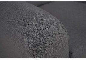 Fotoliu cu aripi VIVA, gri închis