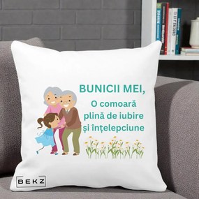 Cadou pentru Bunici - Perna Personalizata Bunicii Mei Comoara Iubire Intelepciune Nepoata, 40x40 cm, Alba Mata, Husa Detasabila, Perna Inclusa, BEKZ®
