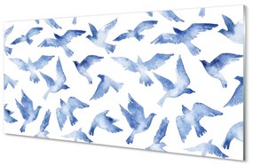 Panouri de sticlă păsări pictate