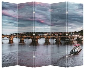 Paravan - Vltava (210x170 cm)