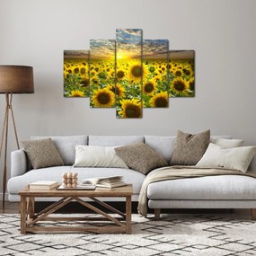 Tablou - Floarea-soarelui la apus de soare (150x105 cm)