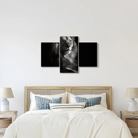 Tablou - Leu (90x60 cm)
