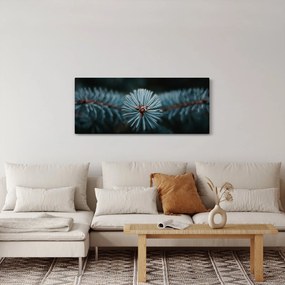 Tablou -Crenguțe ale unui conifer (120x50 cm)