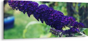 Tablou cu floare albastră (120x50 cm)