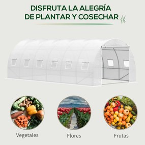Outsunny Seră tip tunel 6x3x2 m Seră de grădină cu ușă rulabilă 12 ferestre Învelitoare PE 140 g/m² și metal galvanizat pentru culturi plante legume Alb | Aosom Romania
