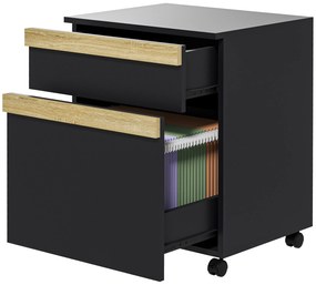 Vinsetto Caisson de birou cu roți și 2 sertare glisante trieur pentru dosare 48 x 40 x 59,5 cm negru | Aosom Romania