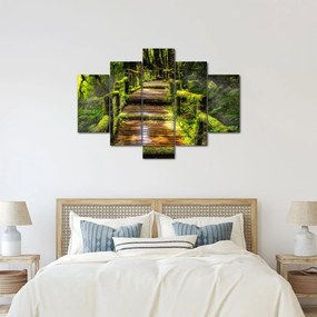 Tablou cu scări într-o pădure tropicală (150x105 cm)