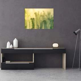 Tablou pe sticlă - Detaliu de primăvară natura cețoasă (70x50 cm)