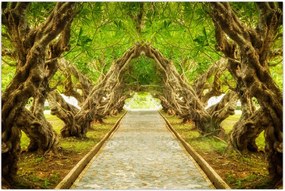 Tablou - Tunel viu din plumeria (90x60 cm)