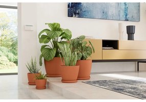 Farfurie pentru ghiveci din teracotă ø 17 cm – Artevasi