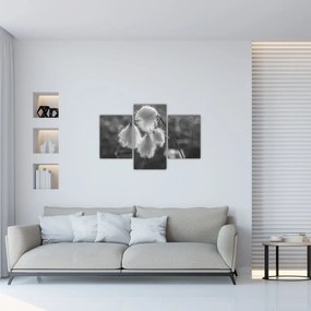 Tablou - Iarba de bumbac (90x60 cm)
