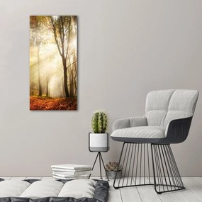 Tablou pe pânză canvas Pădure în toamna