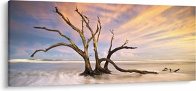 Tablou - Copacul în ocean (120x50 cm)