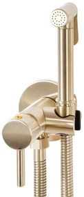 Baterie bideu Lungo Loop Gold Brush