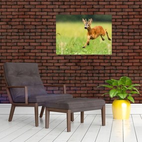 Tablou - Haită (70x50 cm)