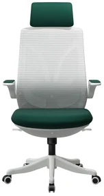 Scaun ergonomic Tania-H, Spătar Mesh, Gri/Verde