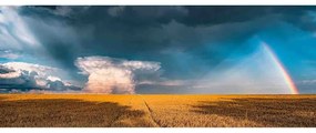 PUZZLE PANORAMA CURCUBEU, 1000 PIESE - RAVENSBURGER (RVSPA17493)