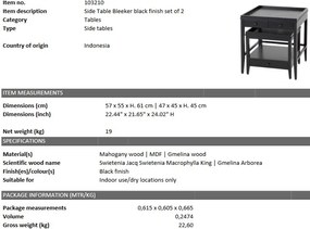 Set de 2 masute laterale design LUX Bleeker 103210 HZ