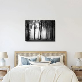 Tablou pe sticlă - Lup în pădurea întunecată (70x50 cm)