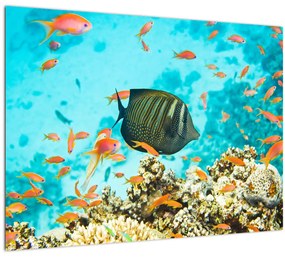 Tablou pe sticlă lumii submarine (70x50 cm)