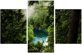 Tablou - Fereastra între copaci (90x60 cm)