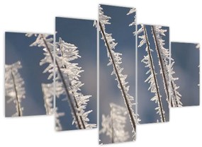 Tablou - Îngheț (150x105 cm)