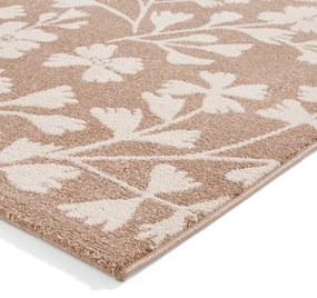 Covor maro deschis 120x170 cm Grace Floral – Catherine Lansfield
