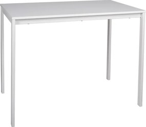 OFERTA Masa de dining alba RAMOD 100x60 cm gradul II de calitate