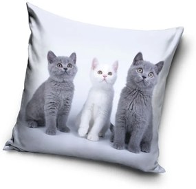 Pisică Trio husă decorativă pentru pernă 40x40 cm Catifea