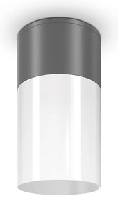 Spot aplicat, plafoniera pentru iluminat exterior IP54 Willis gri