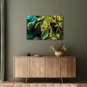 Tablou cu cameleon (90x60 cm)